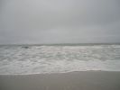 DSCN2489.jpg
