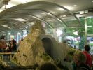 DSCN1019.jpg