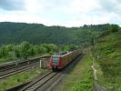 DSCN1317.jpg